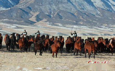 霍去病|甘肃山丹马场：祁连山下万马奔腾