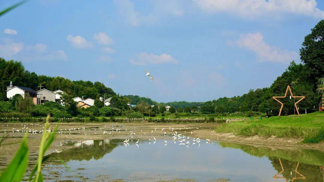 生态画卷入眼帘长沙县开慧村擦亮乡村生态文明建设底色