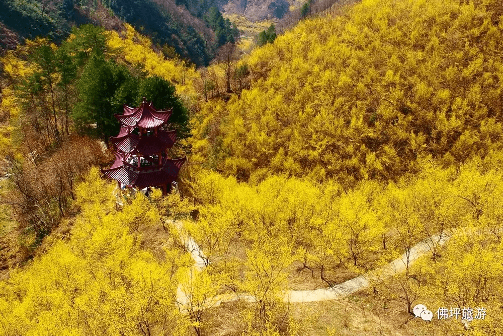 小城|每一张都是“大片”，汉中这个多彩小城藏不住啦！