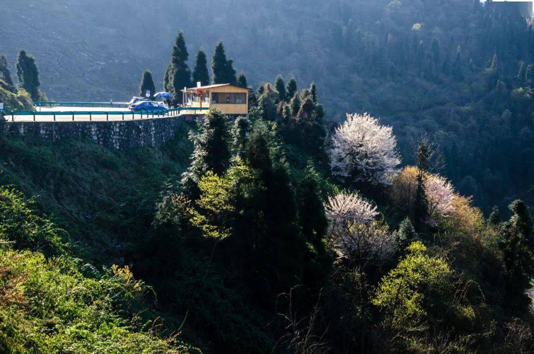 更迭|镜头里的都江堰 | 四季更迭、日月交替，蒲虹路隐藏之美等你来发掘~