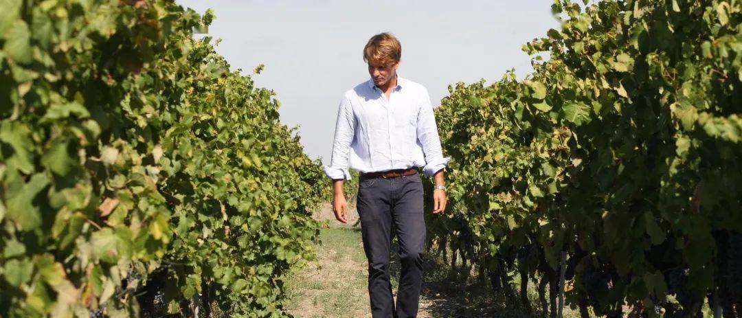 The|伯爵和他的珍酿