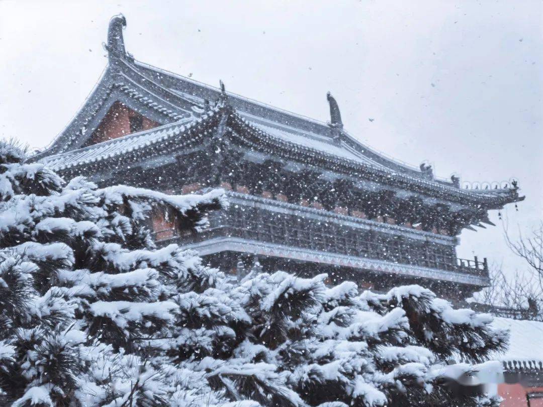 感受遼陽冬日的美好!2月已過半,雪景請珍惜~_周祉旭_李丙群_朱樹林