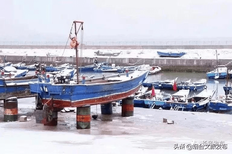 吴昆|雪落长岛 芳华刹那