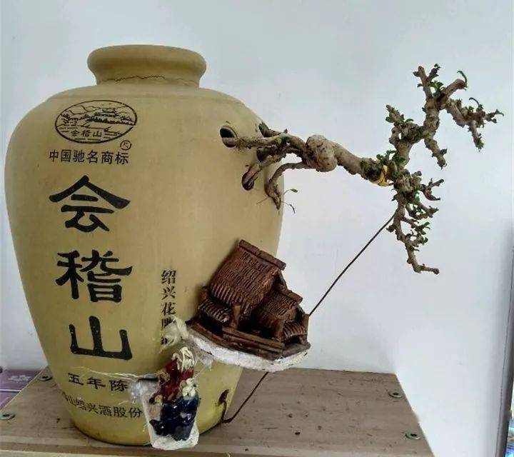 70岁大爷捡来破酒瓶种花惊艳极了