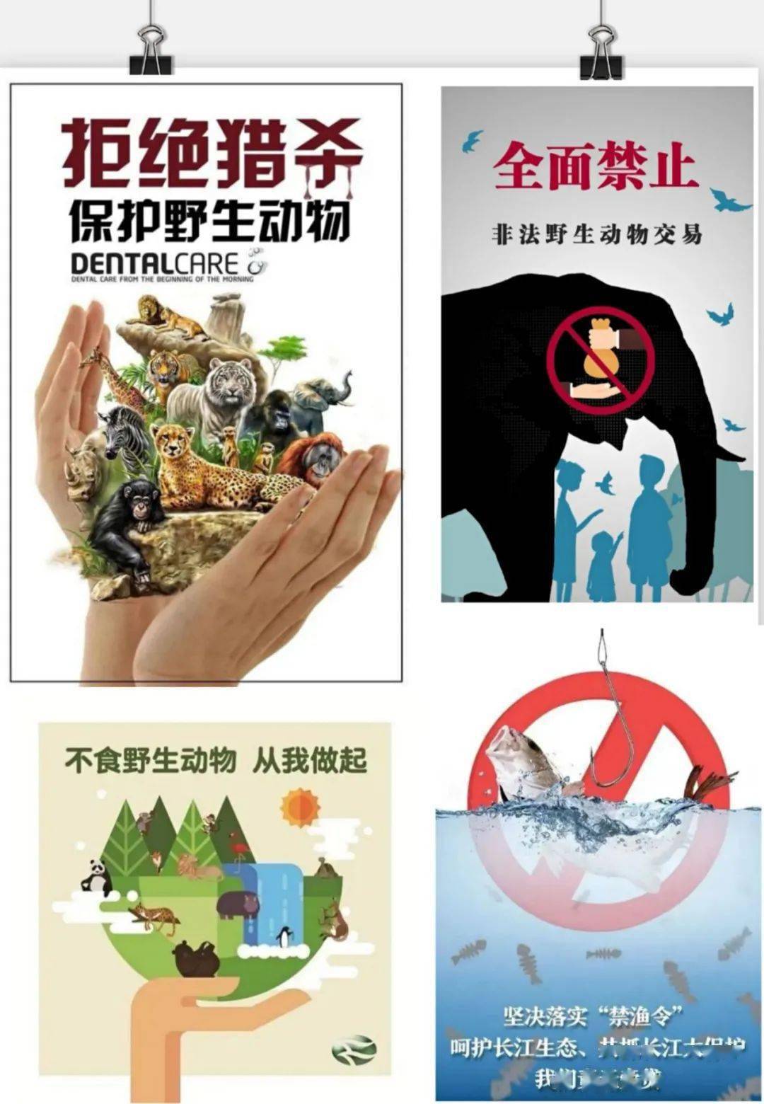 万婴东外滩幼儿园"爱护野生动物,禁止非法捕杀交易,长江流域禁捕"倡议
