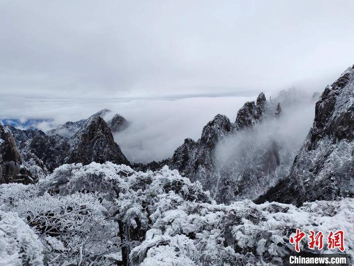 游客|安徽黄山雪后云海妆成 网友直呼“太好看”