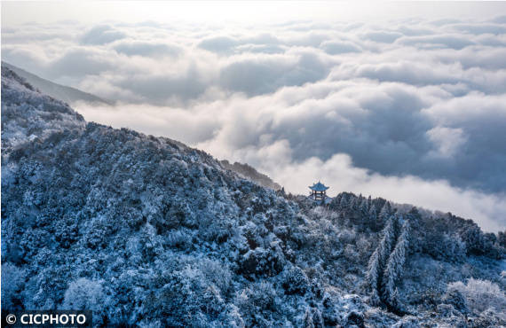 游客|飞雪迎春到