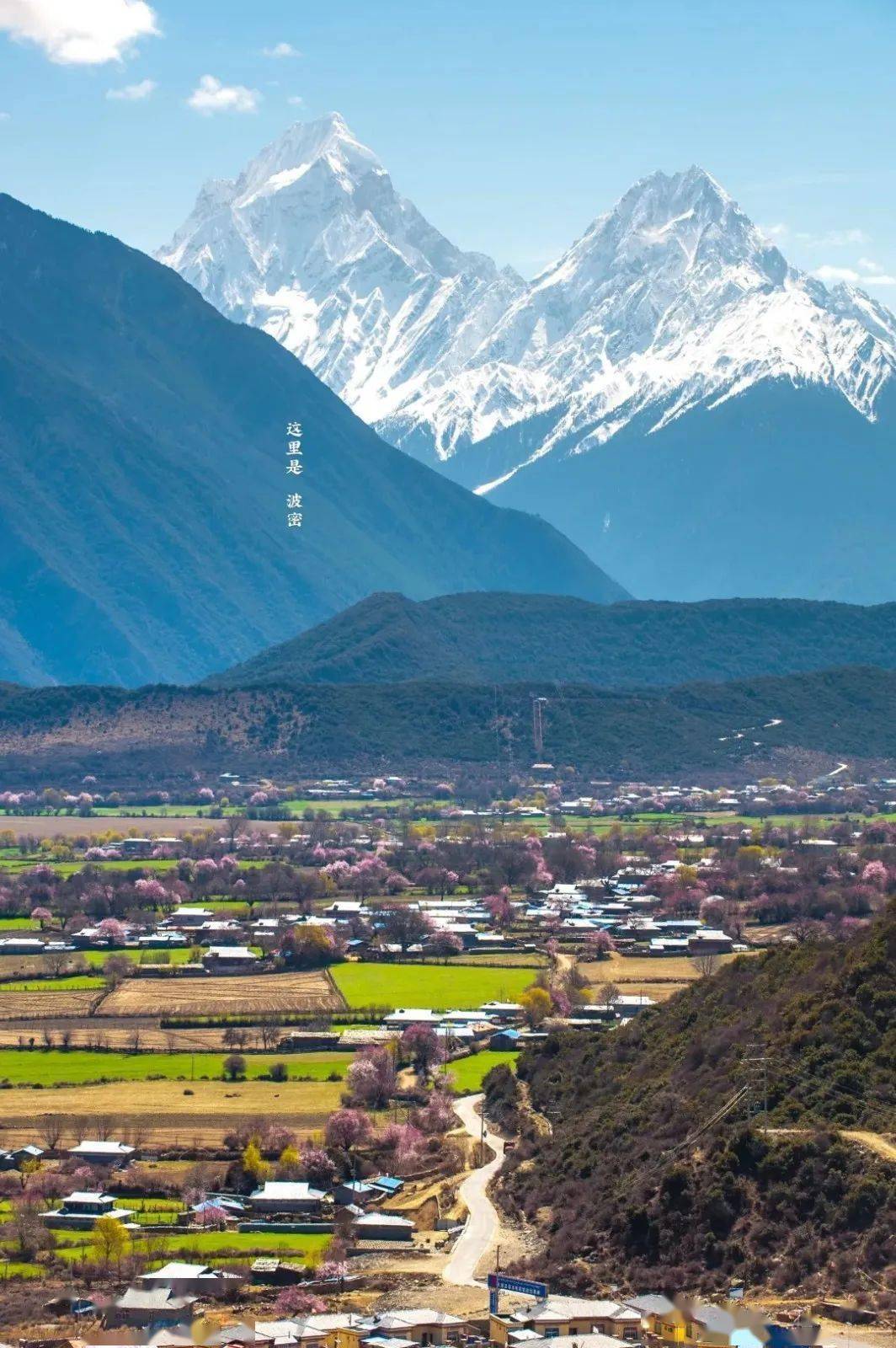这里是波密_林芝_桃花_机场