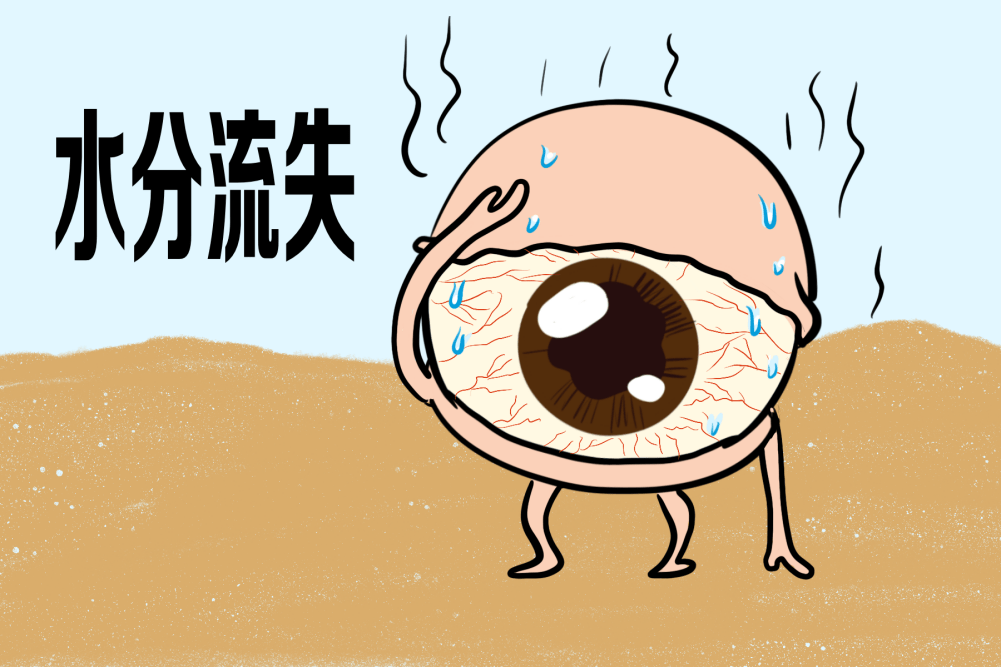 泪液_泪膜_角膜