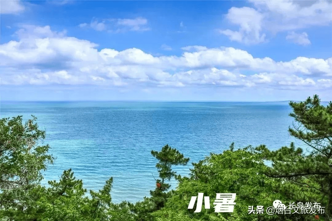 落花长岛版二十四节气壁纸，够浪漫~