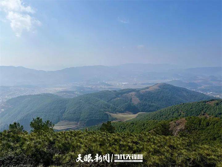 麻乍镇:走出马摆大山特色品牌路_山泉_威宁县_生产