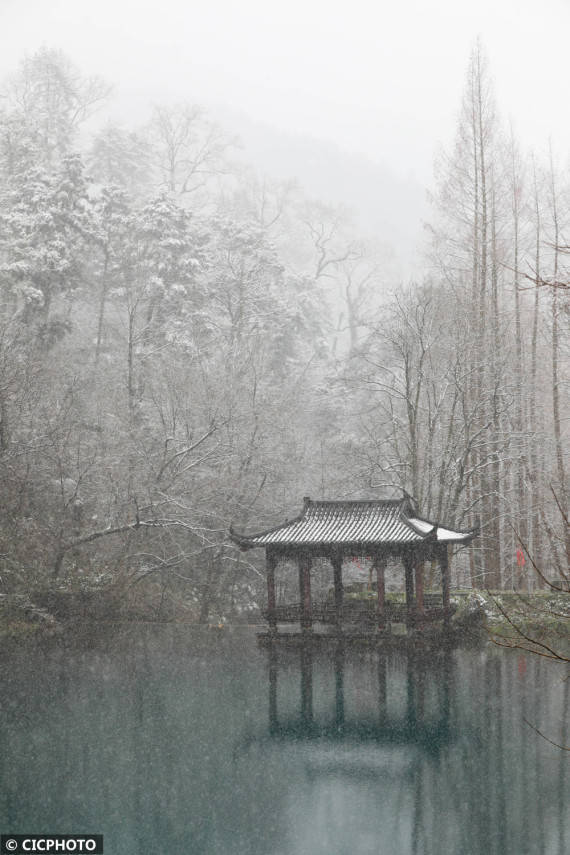 游客|飞雪迎春到