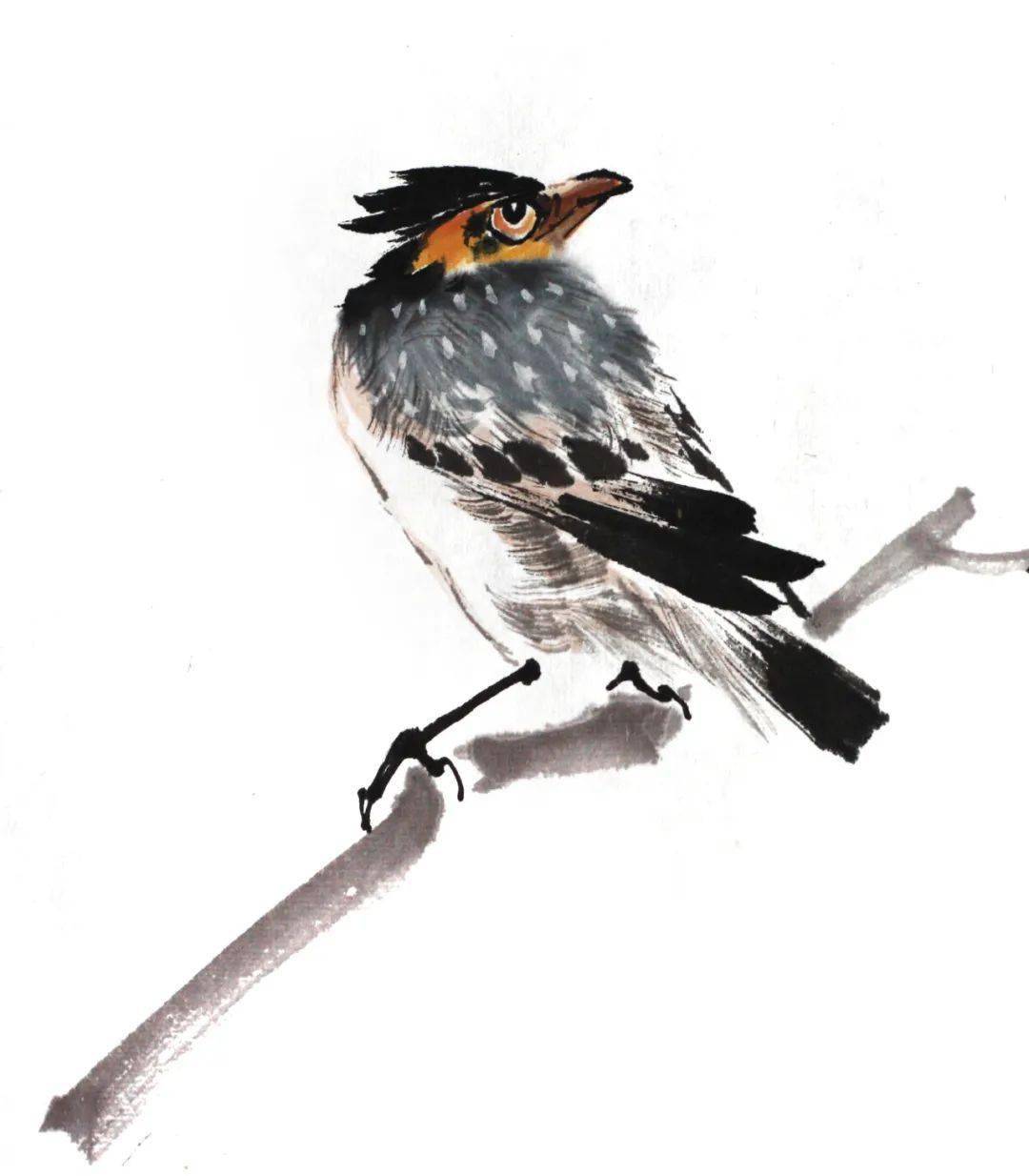 赵前毅写意禽鸟的局部画法示范_兰竹_特征_中锋