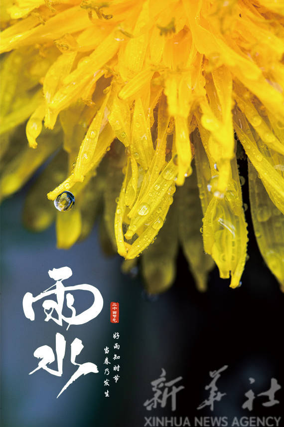 田其珍|报节气|好雨知时节