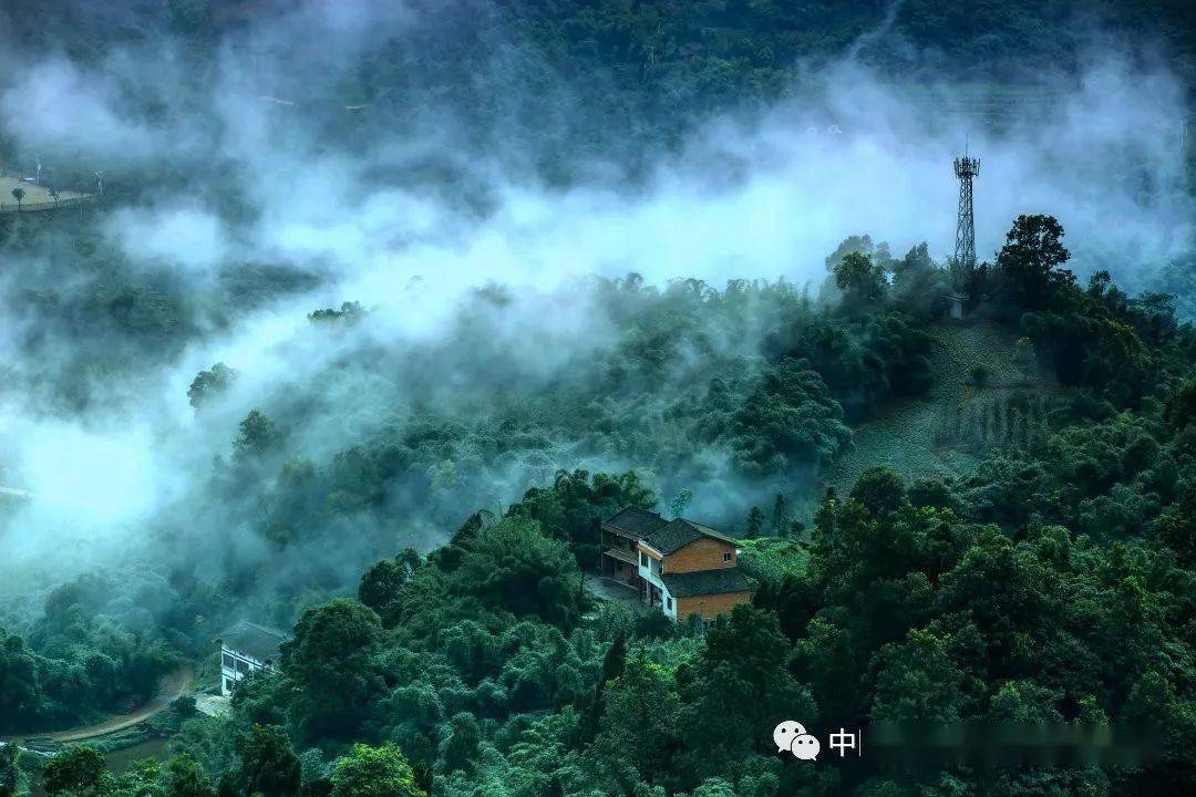 今日雨水 | 願一切美好都值得等待_貴州_曹經建_遵義