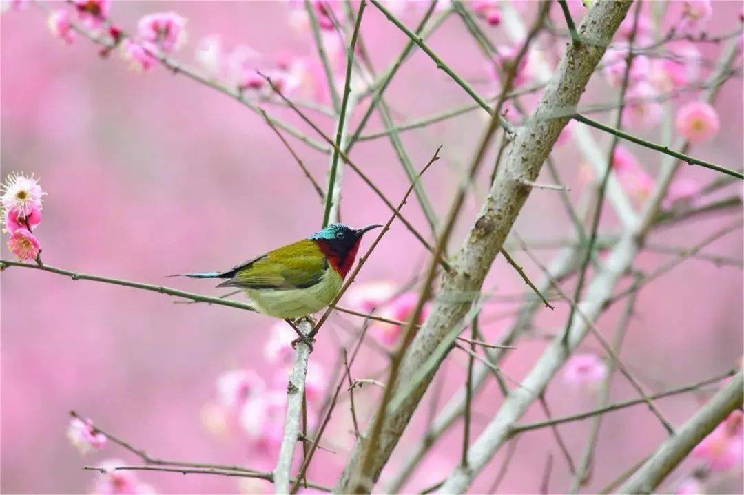 和春天的故事从一场草木萌动的雨水开始