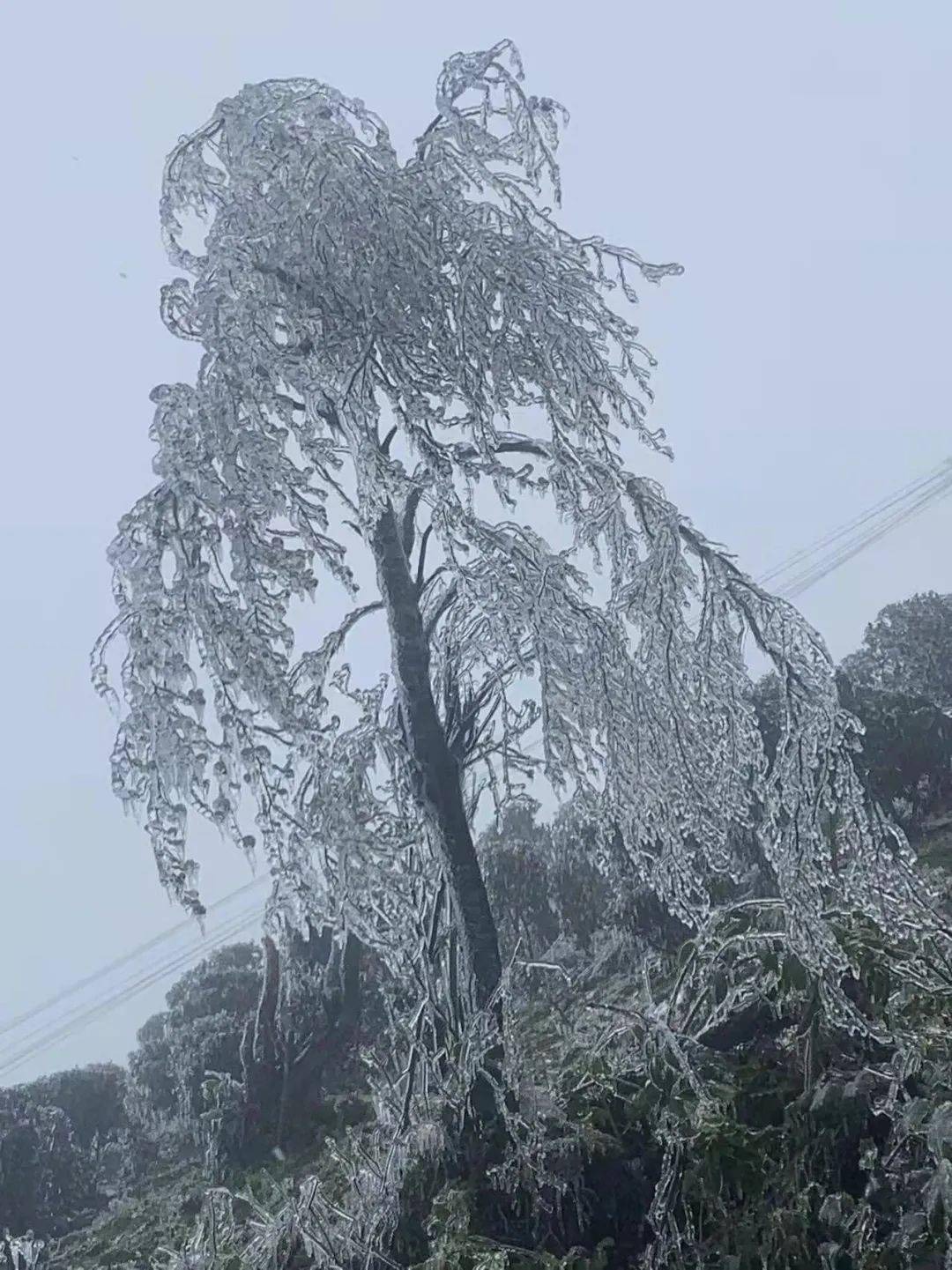 美呆了罗定龙湾风车山挂冰了好比冰雪仙境