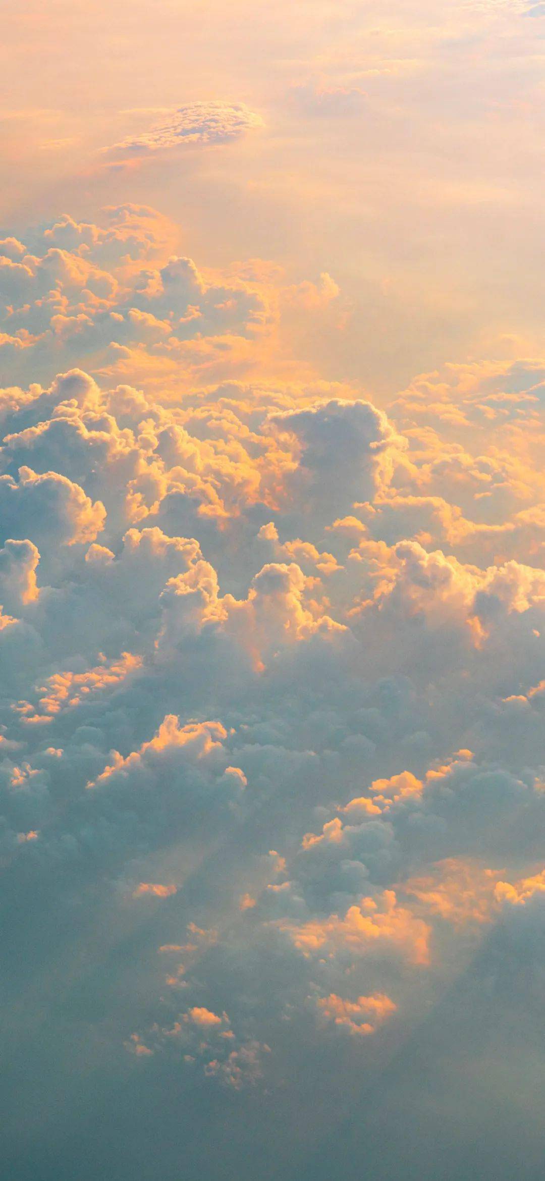 今日份神仙微信头像和壁纸_背景图_侵权_壁纸