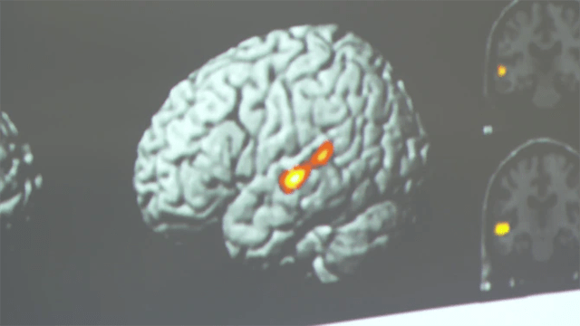 脑科学研究成果证实,这些育儿方式会损害孩子的大脑