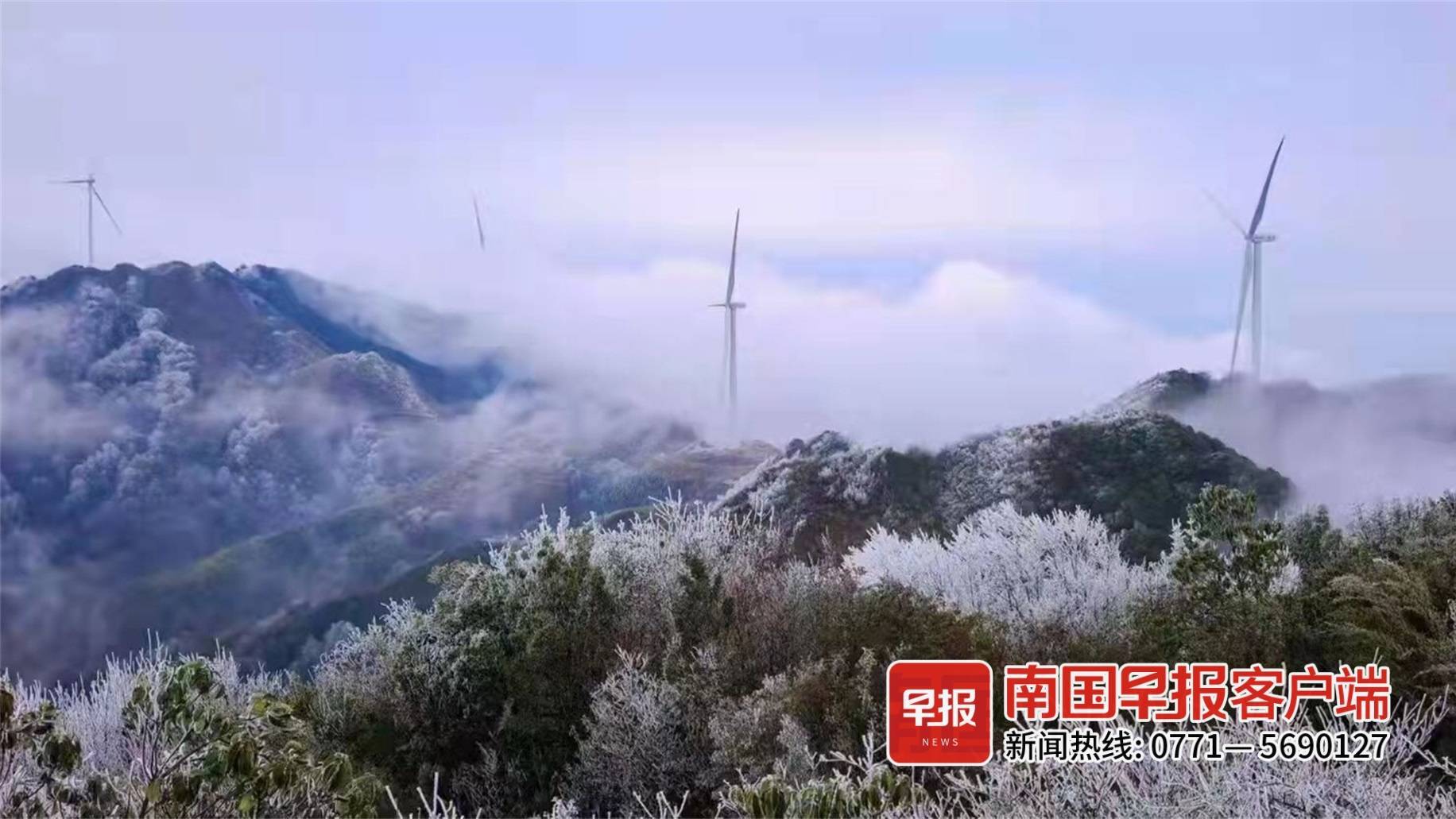 乐业县天气预报