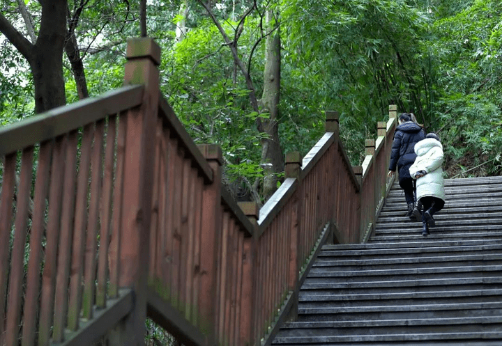 打卡沙坪壩這條步道絕佳風景盡收眼底