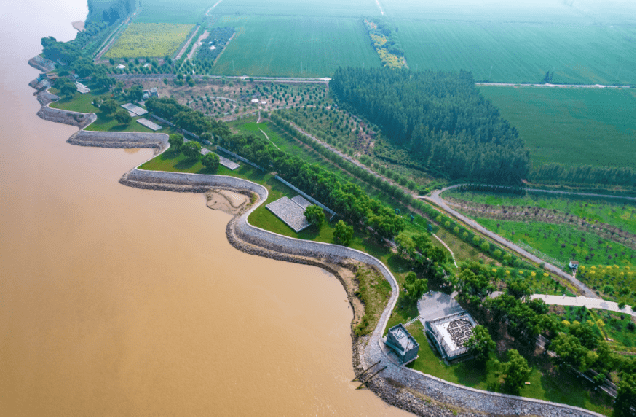 邹平市台子镇打造沿黄产业高质量发展综合示范区