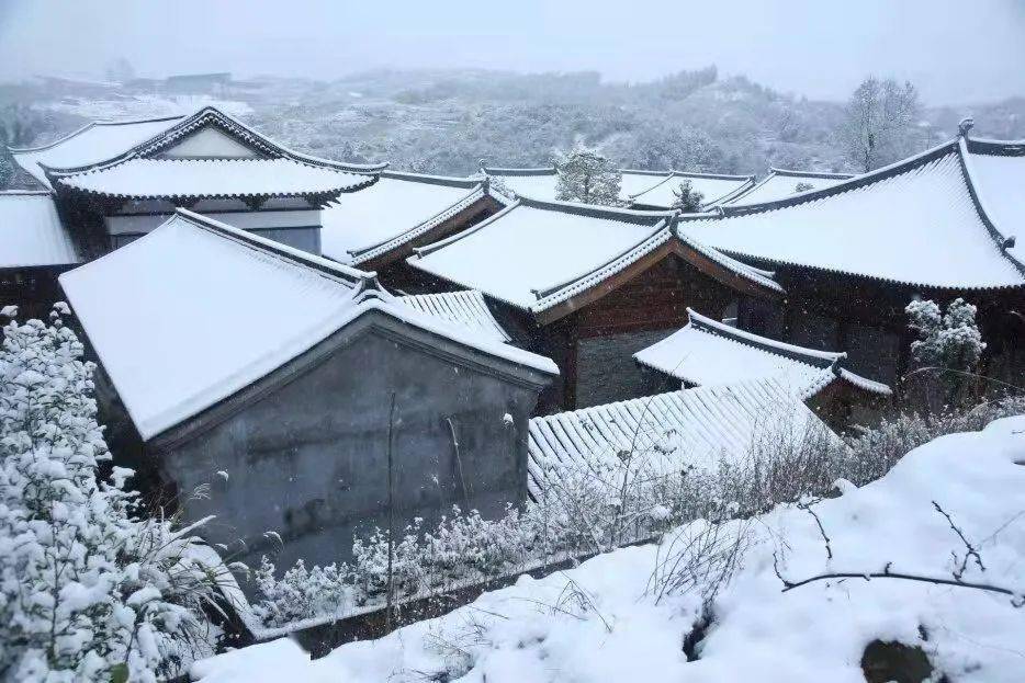 市区也下雪了温州多地出现积雪泰顺发布Ⅱ级响应学校停课接下来还有