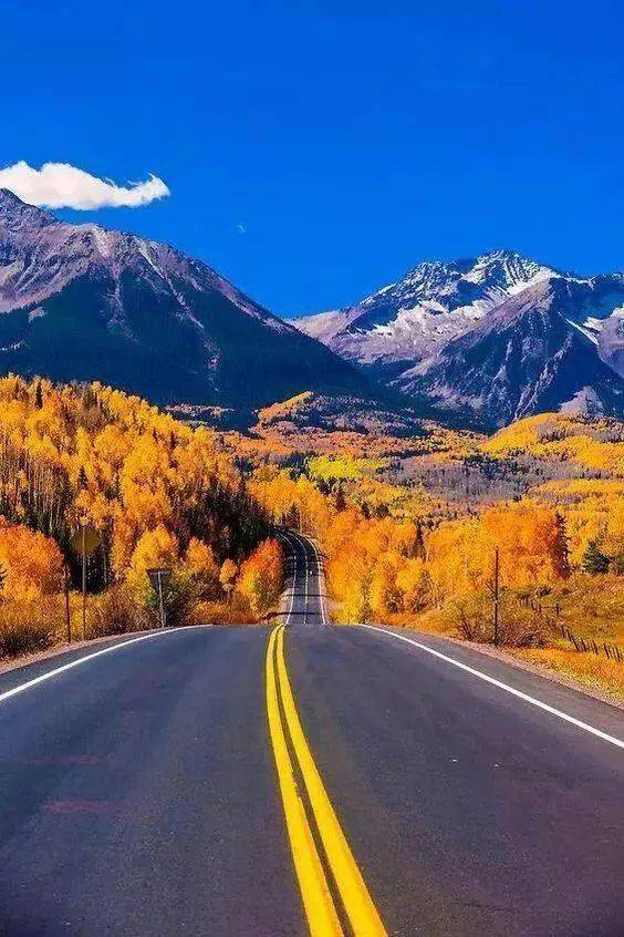 最美的天路!_公路_树木_都有