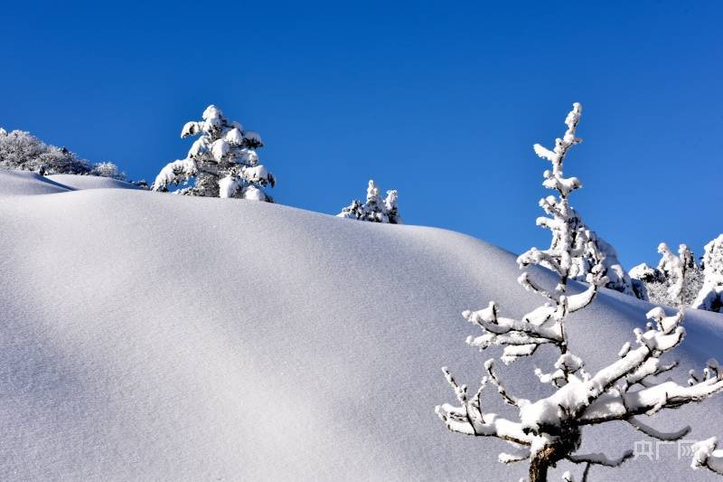 冬雪|“我想休假去黄山”，安徽黄山瑞雪连连惹馋网友