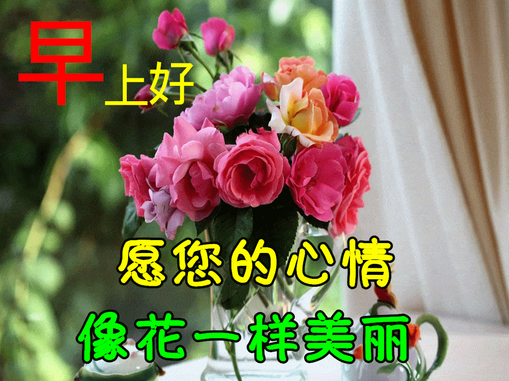 2月21日早上好祝福语图片大全问候动态表情图片大全