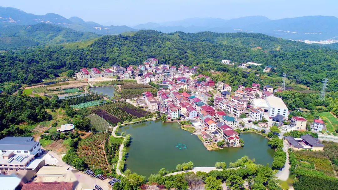 活力浦阳:开启"共富"新征程_建设_乡村_城镇