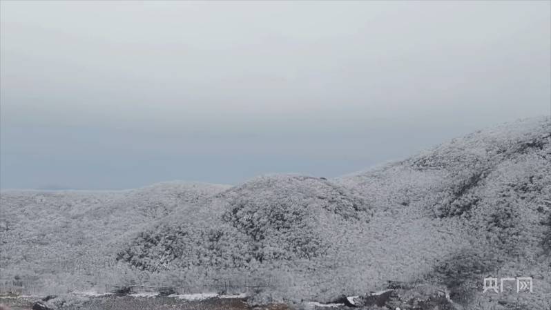 张家界|湖南多地景区迎降雪 冰雪雾凇打造童话世界