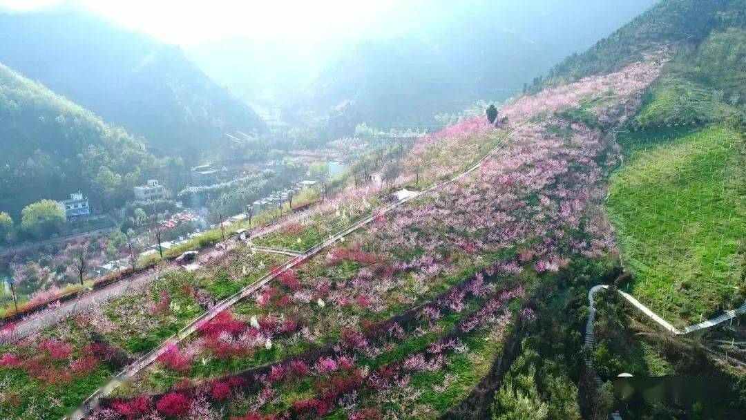 桃花谷景区被评定为我省首批水情教育基地