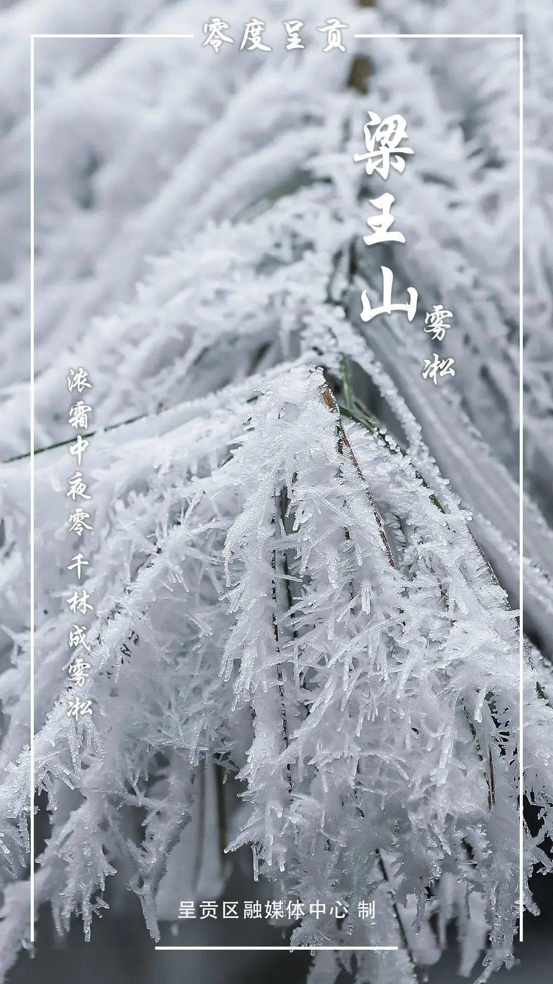 雪花|冬奥会里的那朵雪花飘到昆明来啦！ | 昆明文旅动态