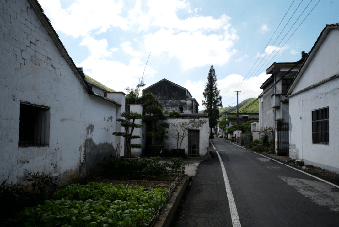 太华镇胥锦村全国试点