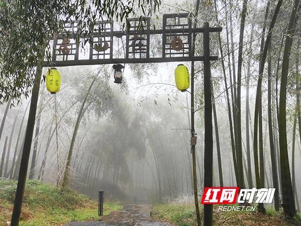 显得|耒阳：蔡伦竹海春光雪景如人间仙境