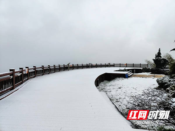 显得|耒阳：蔡伦竹海春光雪景如人间仙境