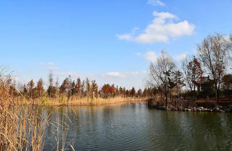 鹽城旅遊年卡建湖九龍口風景區