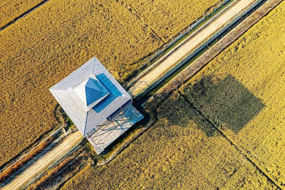 2021第二届“鸟瞰视界”全国航拍大赛投稿作品精选（一）