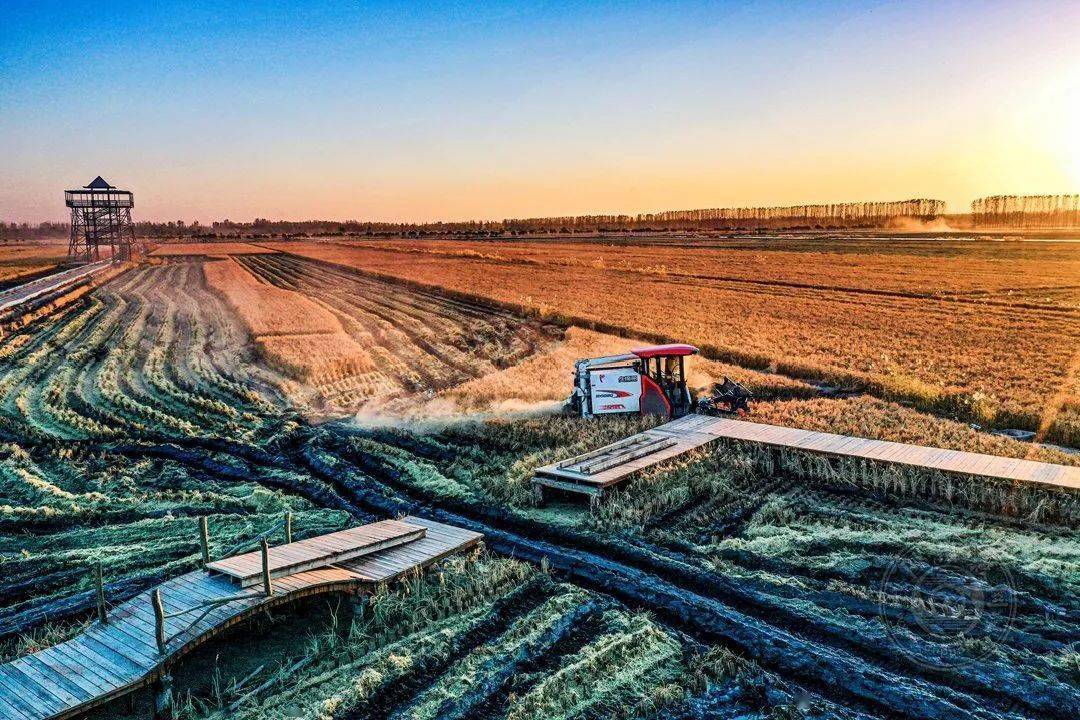 2021第二届“鸟瞰视界”全国航拍大赛投稿作品精选（一）