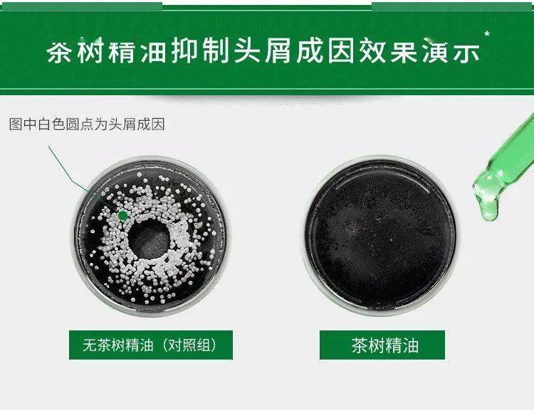 因为散着头发睡觉更健康？99%的女生都做错了，难怪头发油腻还脱发！