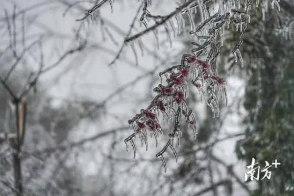 广东|银装素裹！第一视角带你“穿越”广东冰雪奇景