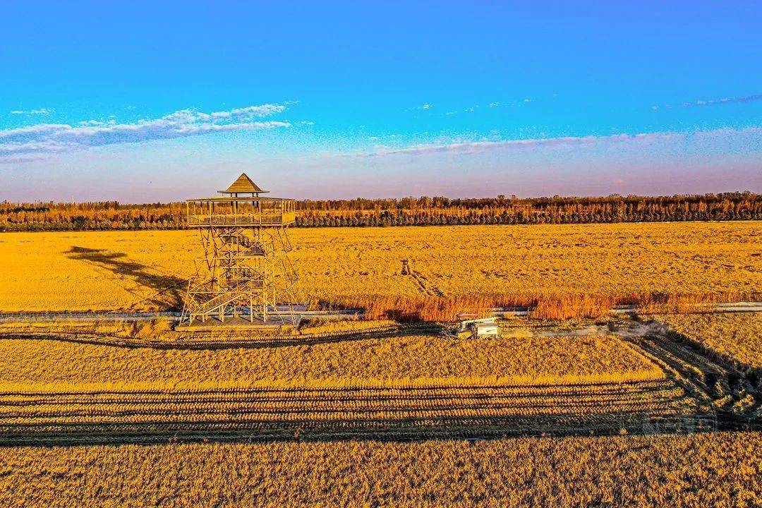 2021第二届“鸟瞰视界”全国航拍大赛投稿作品精选（一）