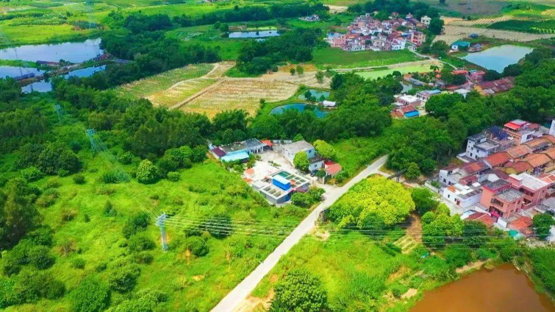 在四会市迳口镇寺边村,自来水管网已成功通入了家家户户,村民饮水安全