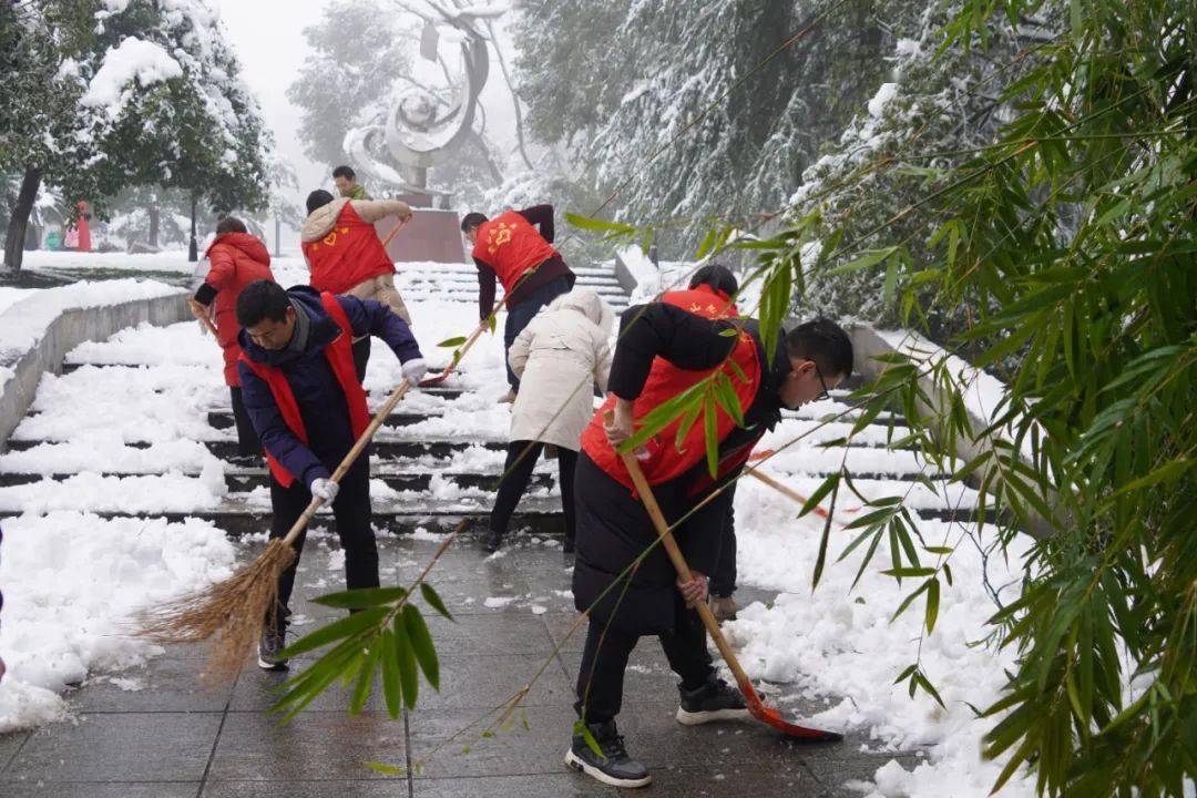 志愿者图片背影冬天图片