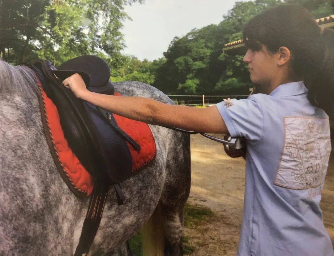 传骑马术丨如何独立完成上马动作