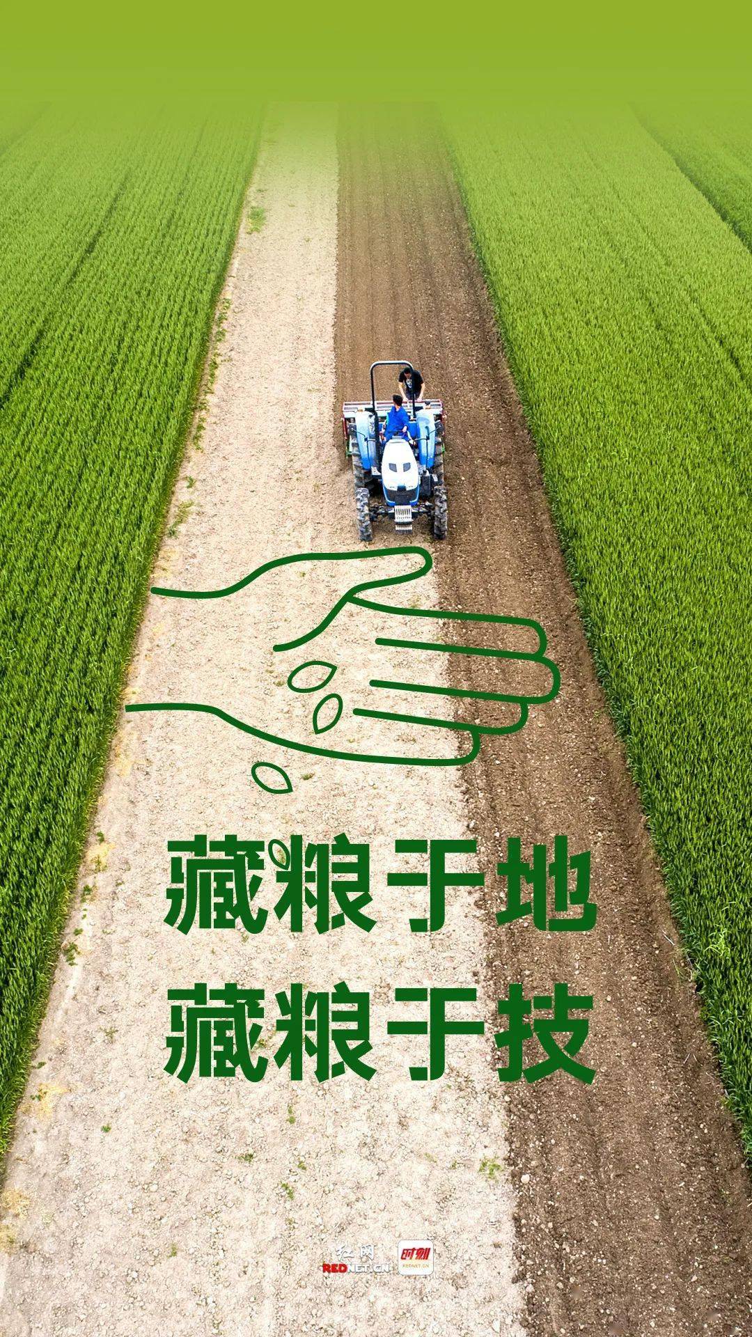 公益海报丨保障国家粮食安全 严格保护耕地_饭碗_红线_中国人