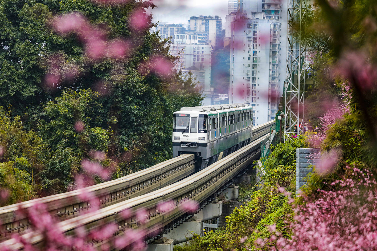 暖阳造访重庆,二号线正如那开往春天的列车(央广网发 王正坤摄)轻轨