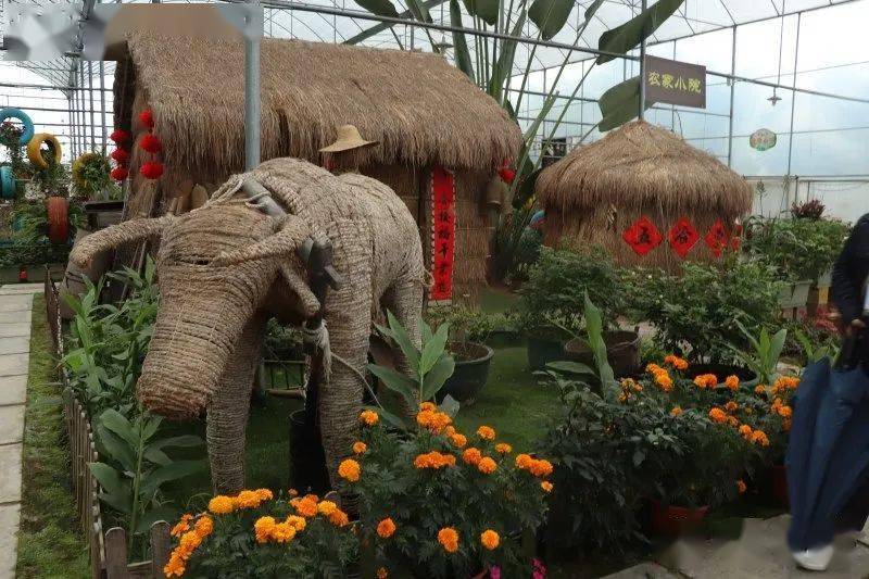 现代农业科技研学亲子同行新地农场