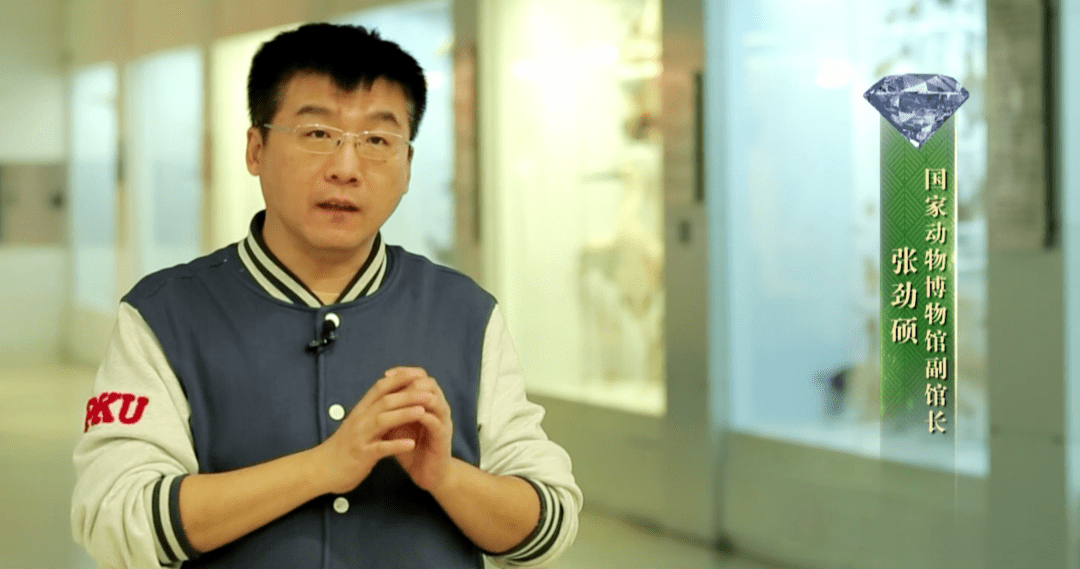 国家动物博物馆采访现场【欢迎收看本期节目】2月26日周六22:21 周六